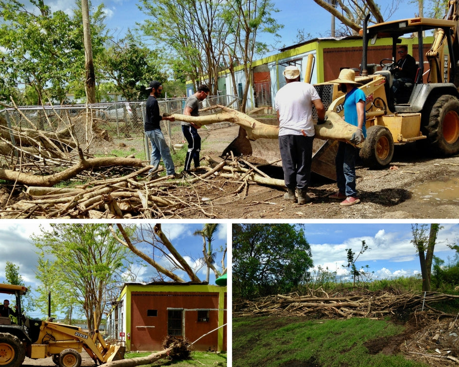 The Days After Hurricane María